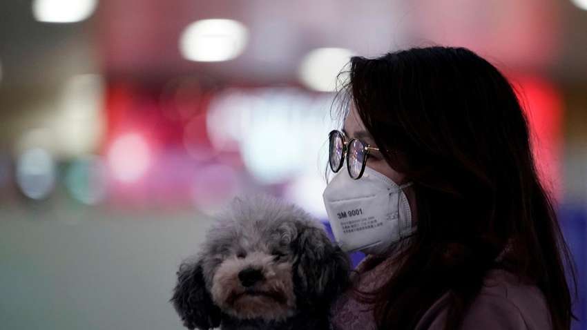 Коронавирус online: число больных, жертв и распространение вируса к этой минуте