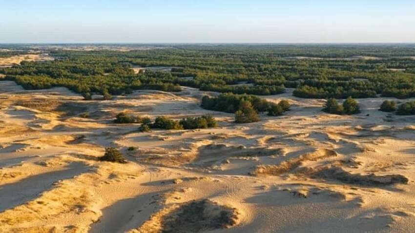  Часть страны станет пустыней: в Украине радикально изменится климат