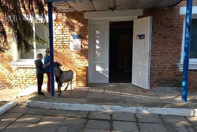 Курьезы выборов: голосование с козой, кино и бюллетенями в кастрюлях (фото)