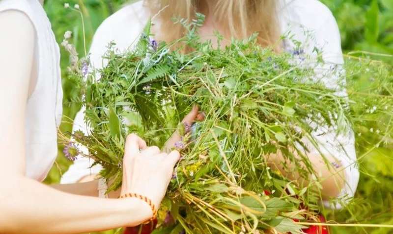 Які трави святять на Трійцю і як їх використовують