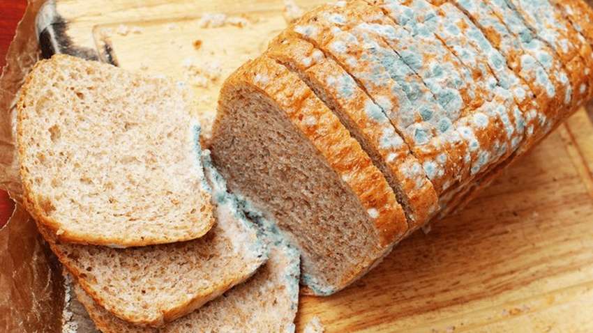 Що станеться, якщо з'їсти продукти з цвіллю