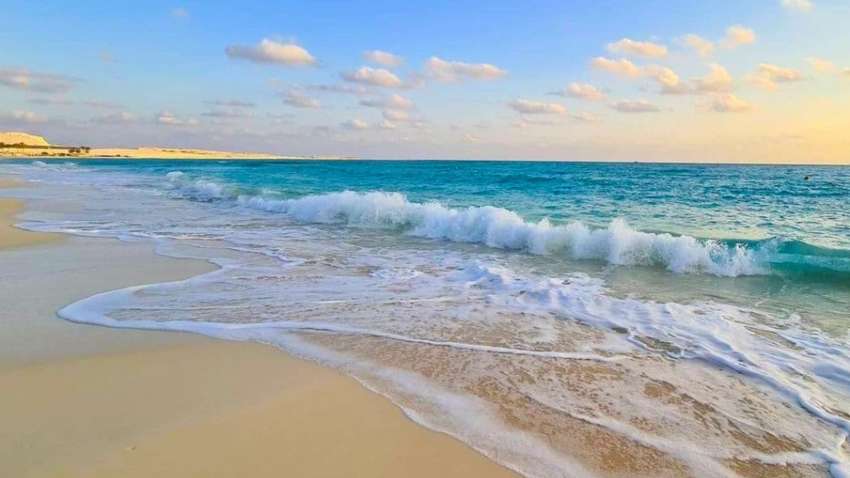 В США после урагана на пляже обнаружили таинственный объект (ФОТОФАКТ)