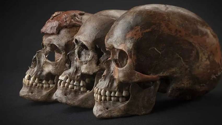 Ученые из черепа воспроизвели лицо мужчины, который жил 35 тыс. лет назад Ученые из черепа воспроизвели лицо мужчины, который жил 35 тыс. лет назад