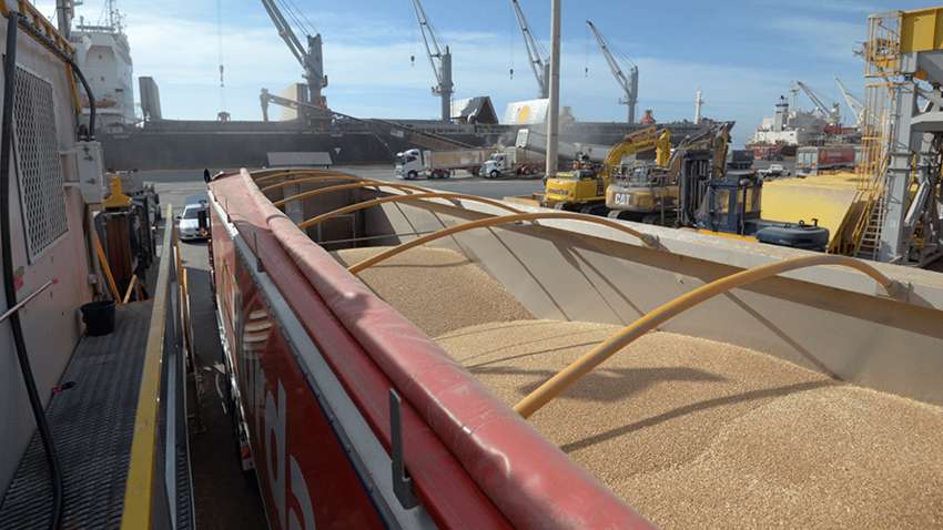 Россия выходит из зерновой сделки: о чем говорит такой ход Москвы – чего ждать дальше