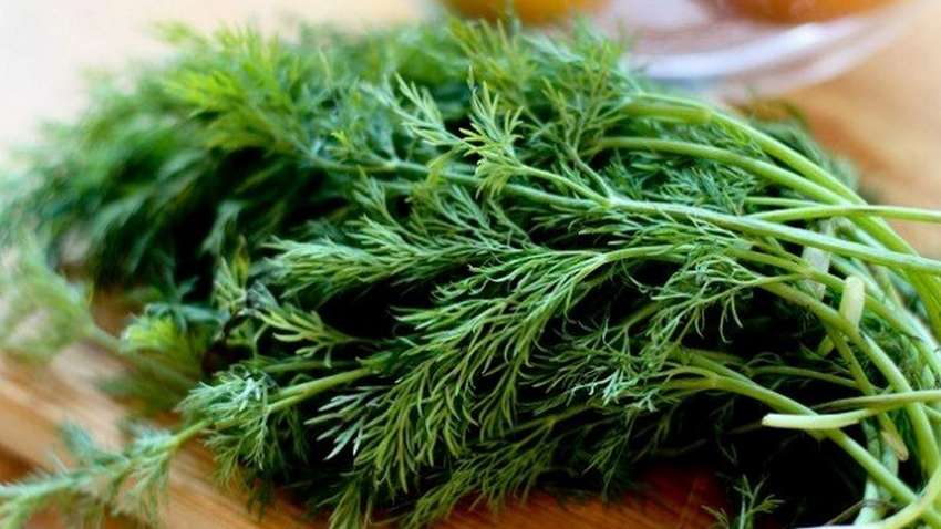 Назван идеальный продукт для выведения шлаков Назван идеальный продукт для выведения шлаков