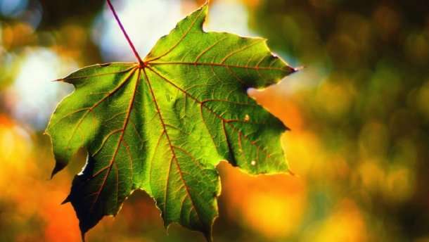 Синоптики рассказали, какой будет погода во вторник