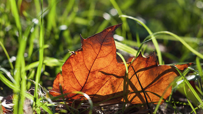 Синоптик озвучила прогноз погоды в Украине: где будет теплее всего Синоптик озвучила прогноз погоды в Украине: где будет теплее всего