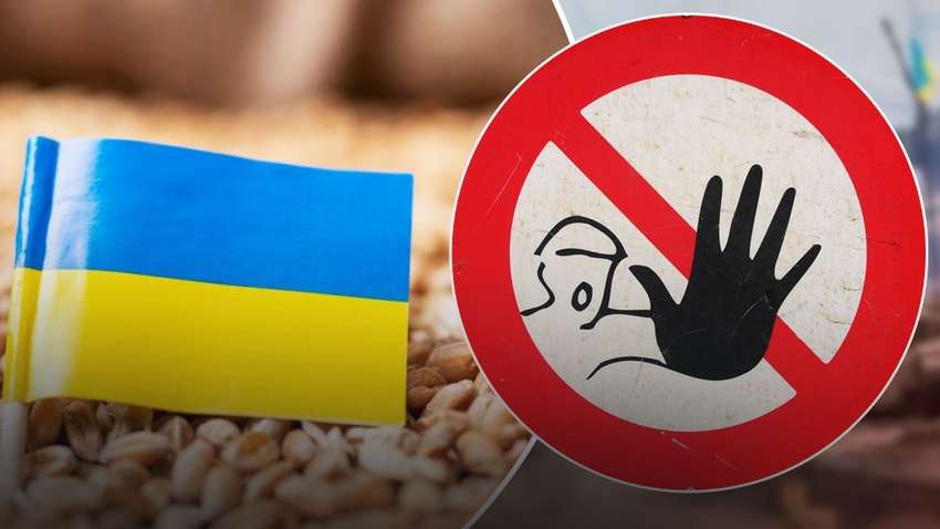 Не только зерно: Польша хочет запретить еще ряд продуктов из Украины