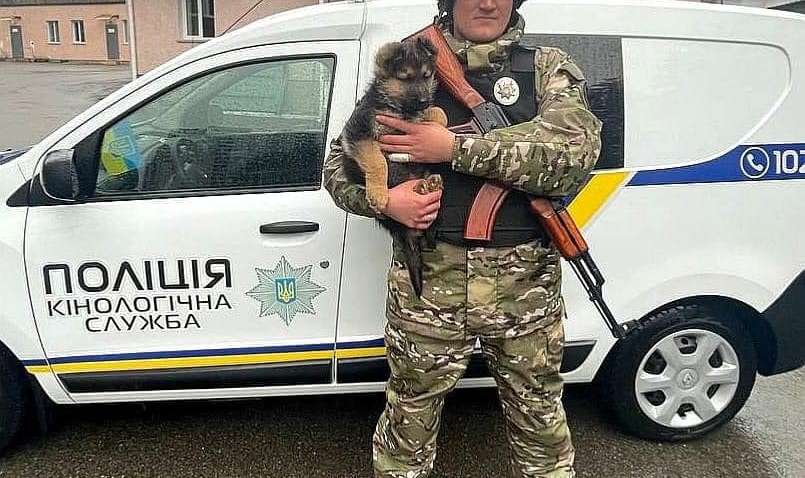 У киевских защитников появился необычный Байрактар, способный предугадывать атаки врага У киевских защитников появился необычный Байрактар, способный предугадывать атаки врага