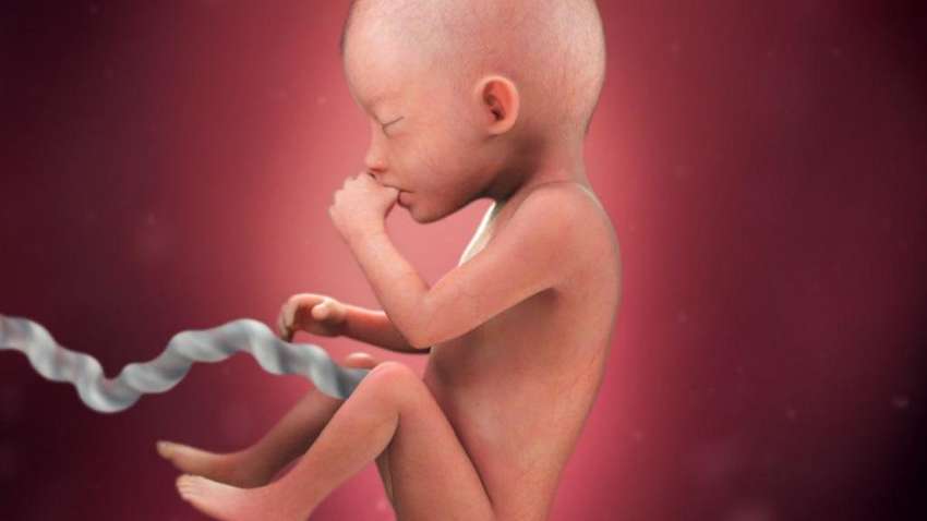 25 тиждень вагітності - особливості розвитку малюка