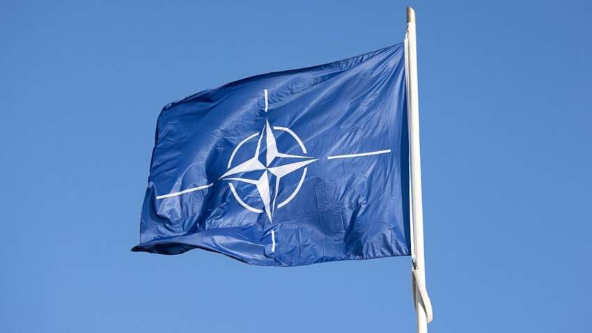В НАТО жестко ответили на угрозы Трампа наказать Испанию