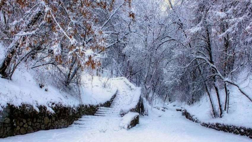 Арктичний холод: де в Україні синоптики прогнозують морози до -19  