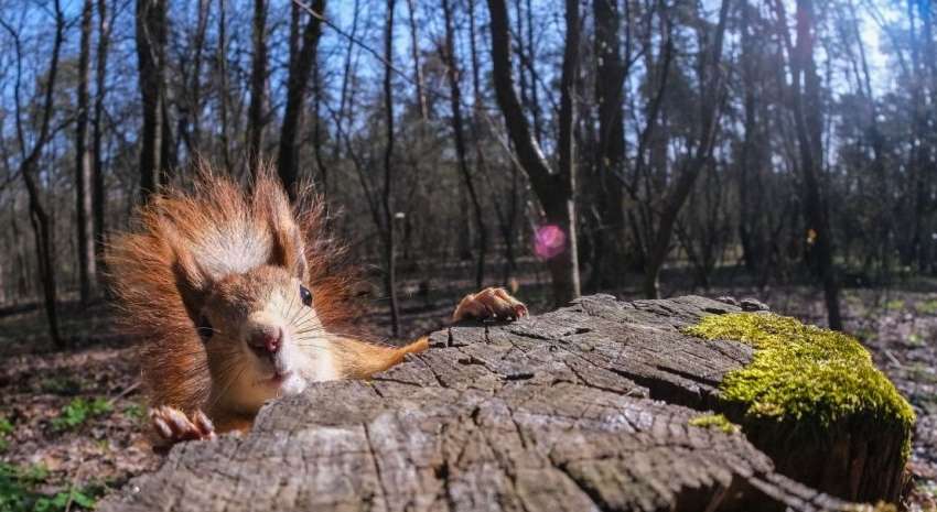  В Украине идет потепление: как и где изменится погода