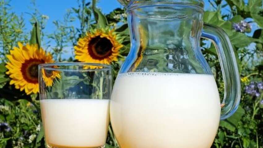 Роковая ошибка с молоком, которую допускают все: что ни в коем случае нельзя делать Роковая ошибка с молоком, которую допускают все: что ни в коем случае нельзя делать