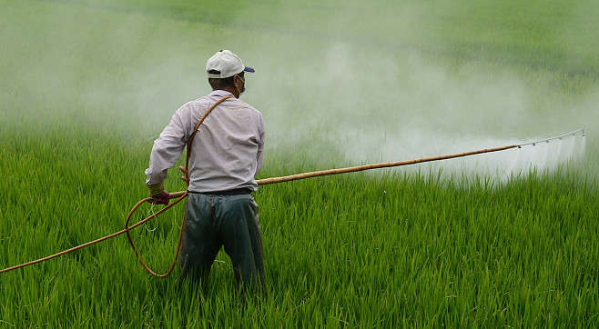 Украине разрешили утилизировать непригодные пестициды в Европейском Союзе