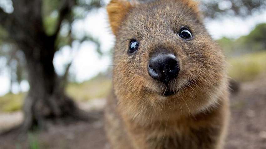 Как снизить стресс в 2 раза: ученые назвали идеальный способ