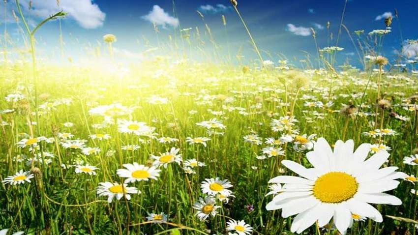 Часть страны зальет дождями, а другую - раскалит солнце до +35: обновленный прогноз погоды Часть страны зальет дождями, а другую - раскалит солнце до +35: обновленный прогноз погоды