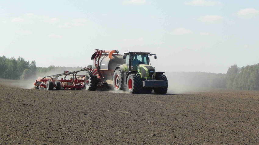 Посівна кампанія озимих культур в Україні опинилася під загрозою