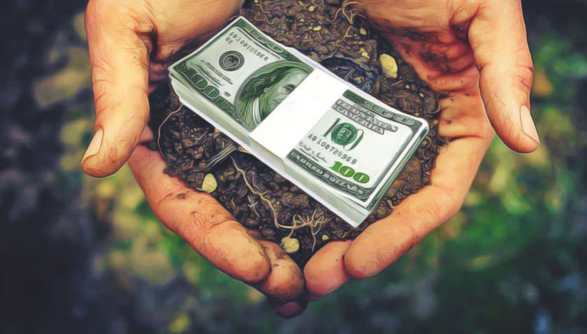 Калька зі Східної Європи і "дешеві" гектари: яким буде ринок землі в Україні