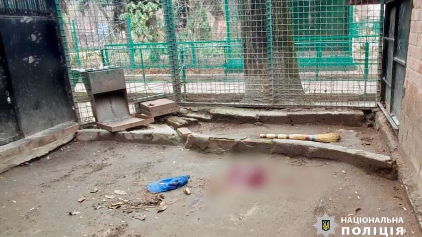 В Одессе полицейские застрелили леопарда