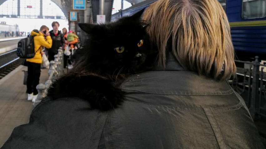 "Нікому не хочеться помирати": на Заході показали пекельне життя українців через наступ Путіна 