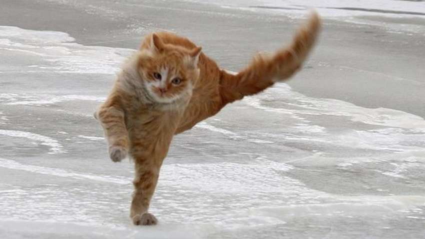 Морозно и скользко: какой будет погода в Украине 31 января Морозно и скользко: какой будет погода в Украине 31 января