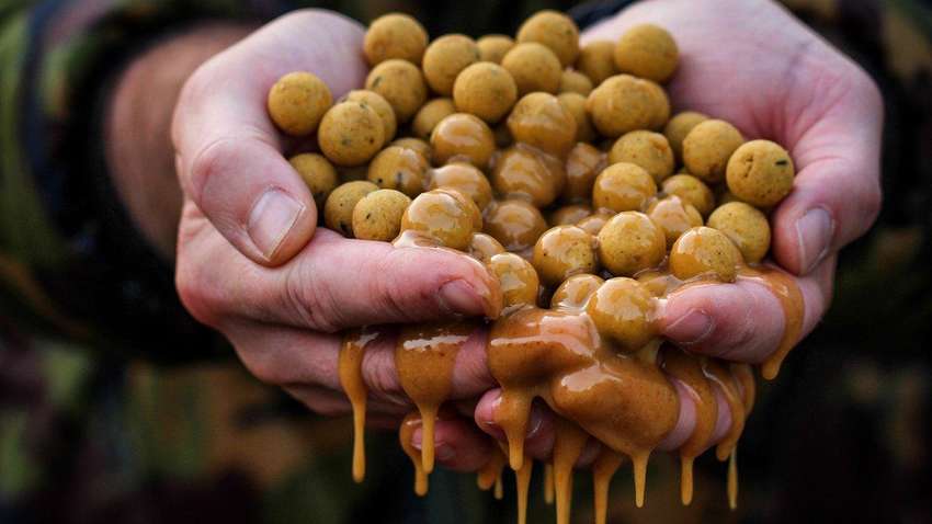 Как приготовить рыбную прикормку: оригинальный рецепт Как приготовить рыбную прикормку: оригинальный рецепт