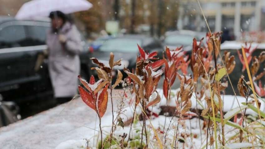 Возможен мокрый снег: в какие области Украины придет похолодание Возможен мокрый снег: в какие области Украины придет похолодание