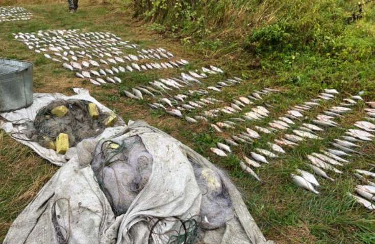 На мільйон гривень наловили риби браконьєри: який улов