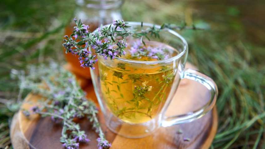 Які трави додати в чай, щоб зміцнити здоров'я