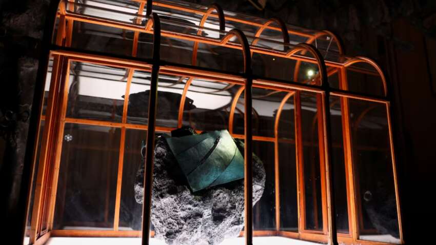 Ученые создали первую в истории сумку из "кожи" тираннозавра: как выглядит (ФОТО) Ученые создали первую в истории сумку из "кожи" тираннозавра: как выглядит (ФОТО)