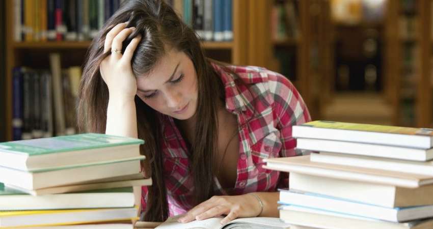 "Студенты теряют навыки владения иностранными языками", - Гриневич 