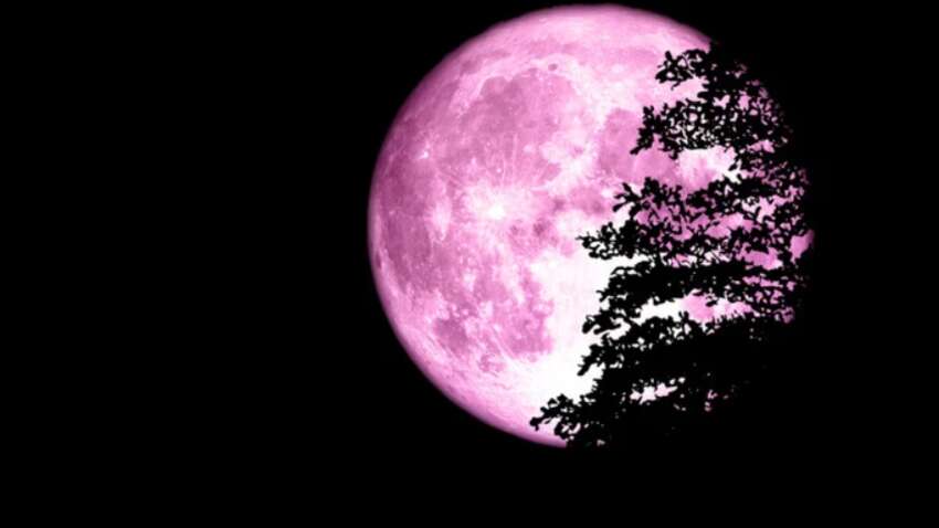 Розовая Луна уже на подходе: когда смотреть на самое эффектное полнолуние апреля Розовая Луна уже на подходе: когда смотреть на самое эффектное полнолуние апреля