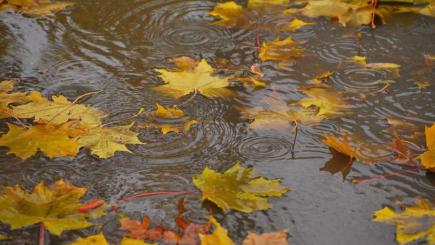 Синоптики попередили про різке похолодання