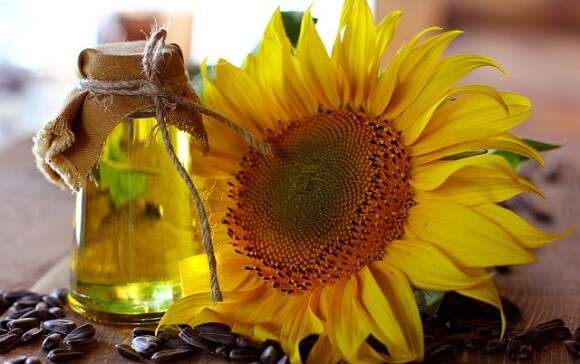 Ця популярна кулінарна добавка викликає агресивну форму раку Ця популярна кулінарна добавка викликає агресивну форму раку