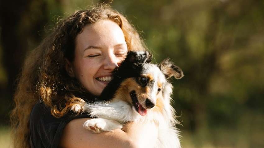 ТОП-10 собачих усмішок: яку породу вибрати для домашнього щастя