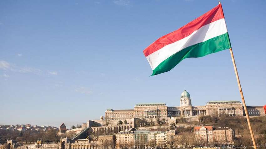 СБУ вперше зафіксувала діяльність угорських шпигунів на території України: деталі