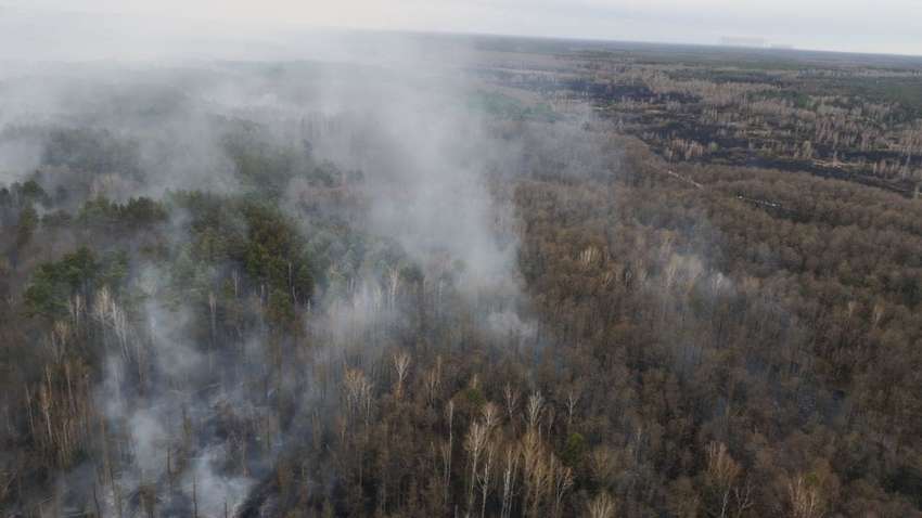 Пожар в Чернобыле: опубликовано трогательное фото пожарных