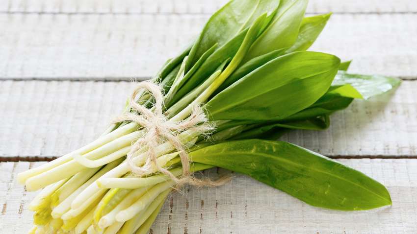 Скільки можна заробити на продажі черемші - сезонна бізнес-ідея