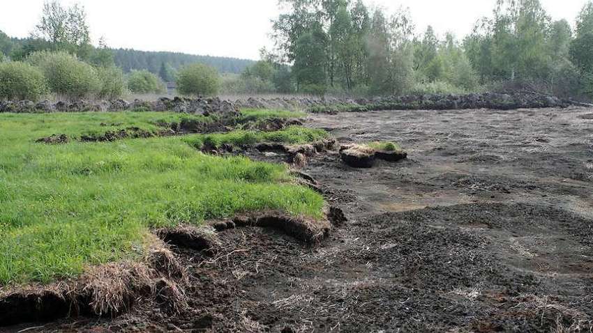 Ученые нашли способ, который сможет предотвратить глобальное потепление  Ученые нашли способ, который сможет предотвратить глобальное потепление