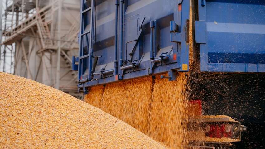 На Заході пояснили, чому Україна може виграти від мит Трампа На Заході пояснили, чому Україна може виграти від мит Трампа