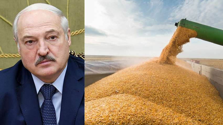 Брудні ігри Лукашенко: навіщо Білорусь пропонує Україні транзит зерна