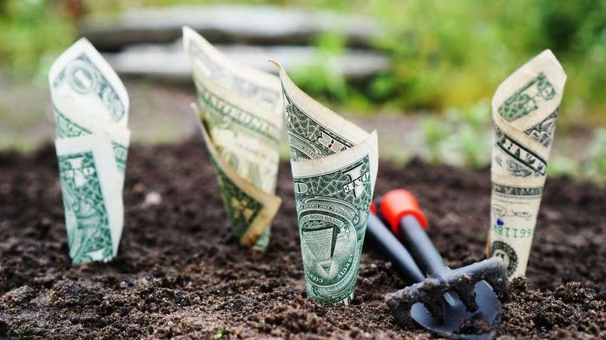 Верховная Рада приняла скандальный законопроект о рынке земли