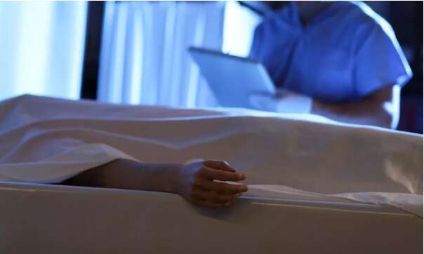 Вчені запропонували створювати запасні людські тіла, щоб потім їх їсти