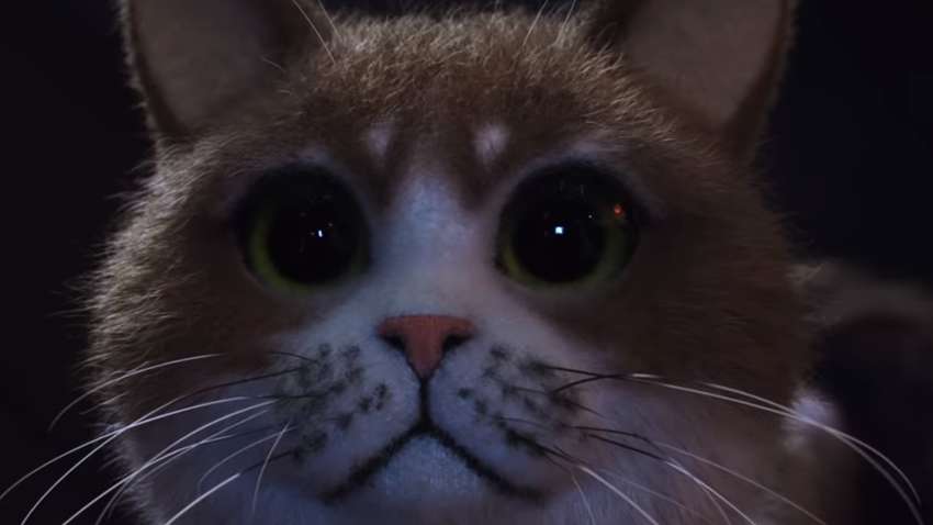 "Восставшие огурцы": вышел первый фильм-хоррор для кошек