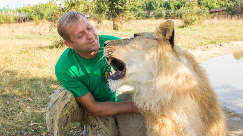В Крыму арестовали директора парка львов - «крымнашиста» Зубкова