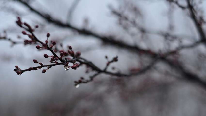 Синоптики рассказали, какой будет погода в Украине сегодня