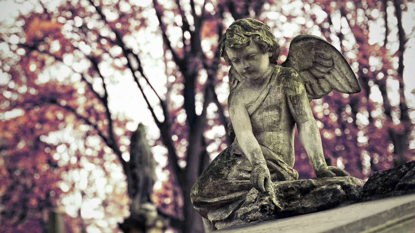 День Всех Святых: в Кракове почтили память жертв российской агрессии  День Всех Святых: в Кракове почтили память жертв российской агрессии