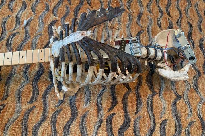 У США музикант змайстрував гітару зі скелета свого померлого дядька й опублікував ФОТО та ВІДЕО в Instagram У США музикант змайстрував гітару зі скелета свого померлого дядька й опублікував ФОТО та ВІДЕО в Instagram