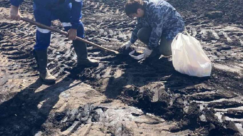 У Сумській області стався витік нафти: що відомо про аварію